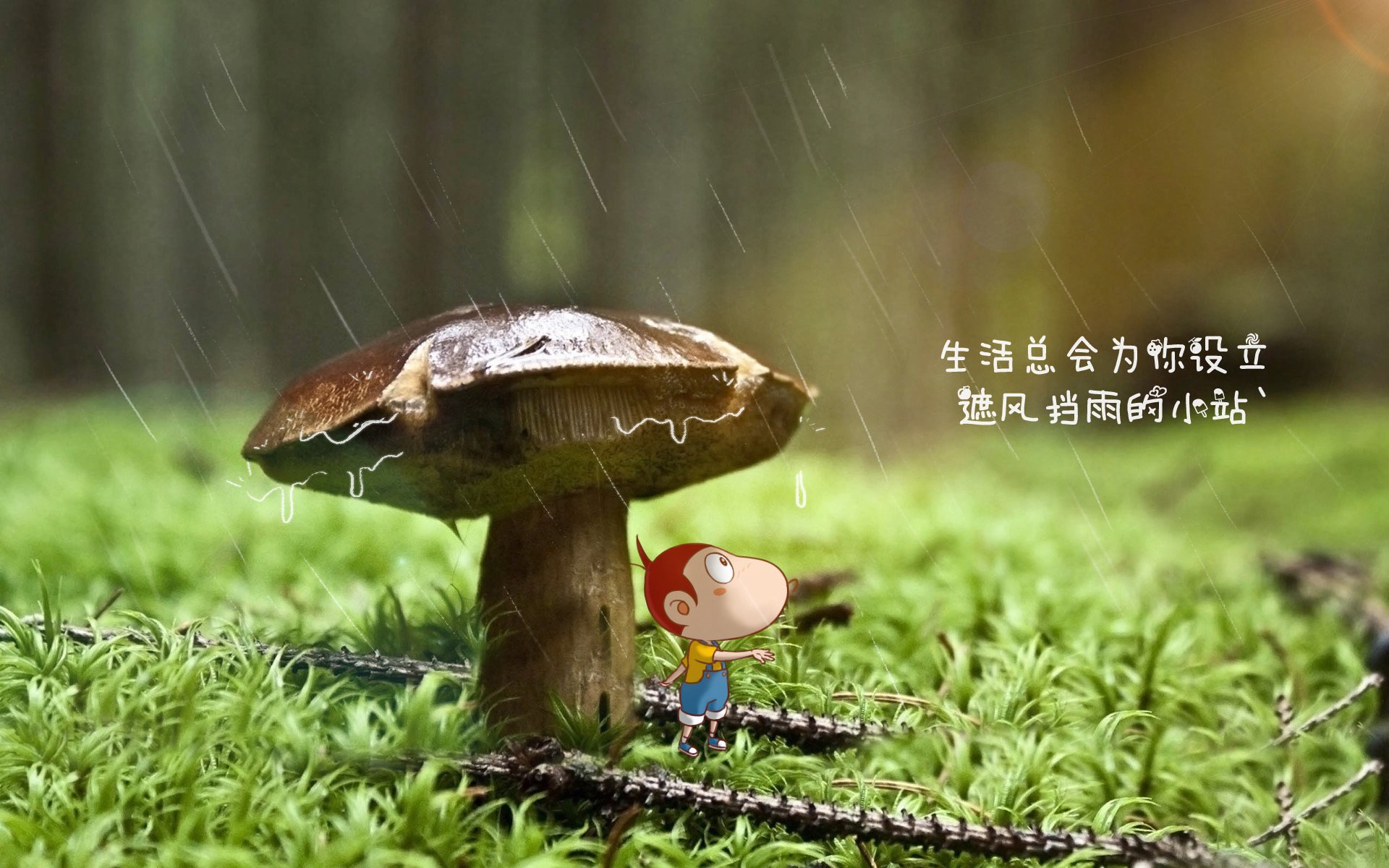 关键三分：王强最后一投，助队逆转成功！，王仕鹏关键三分