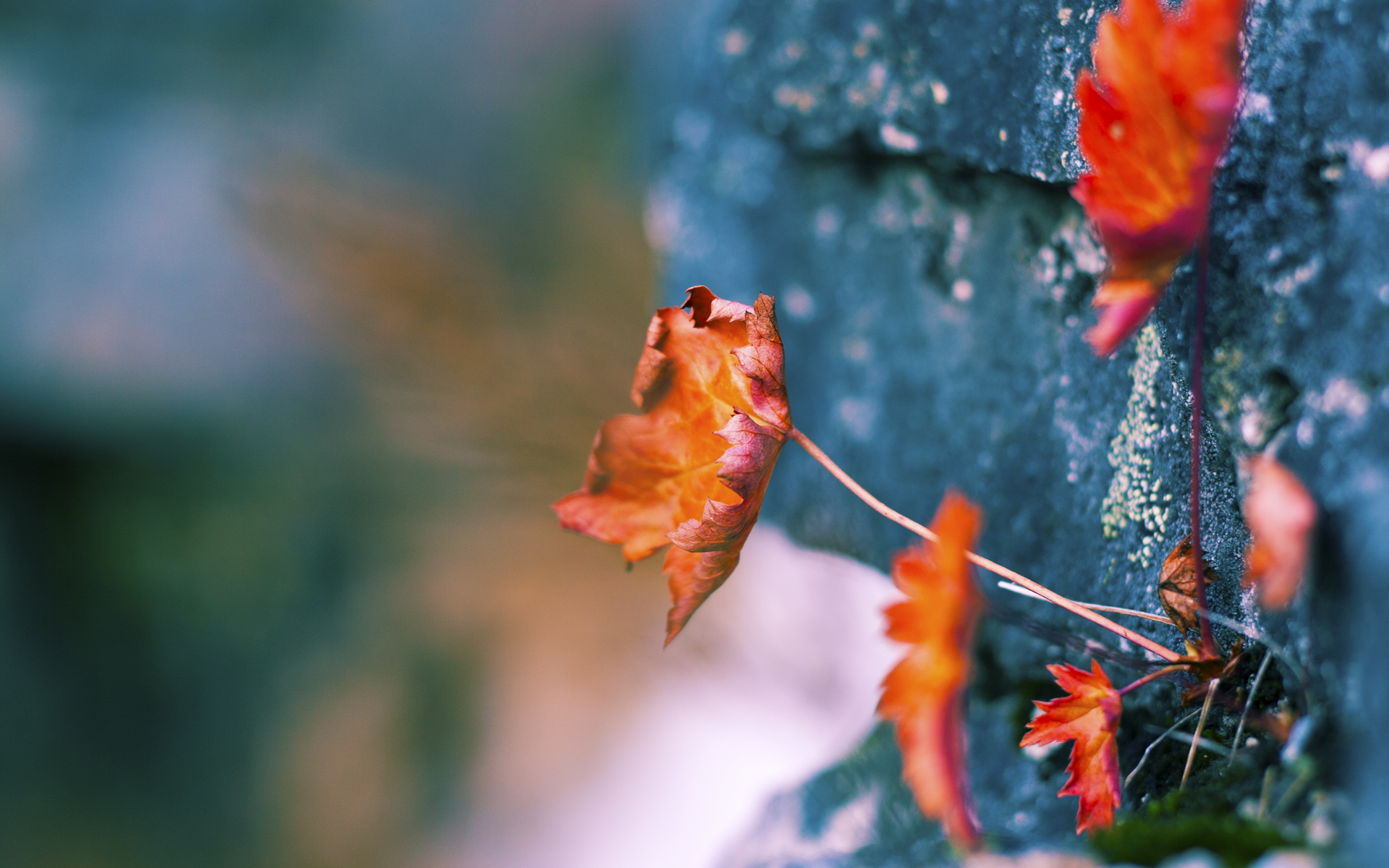 JIUYOU GAMING-体育新闻中心发布体育短视频内容原创保护方案，体育短视频素材