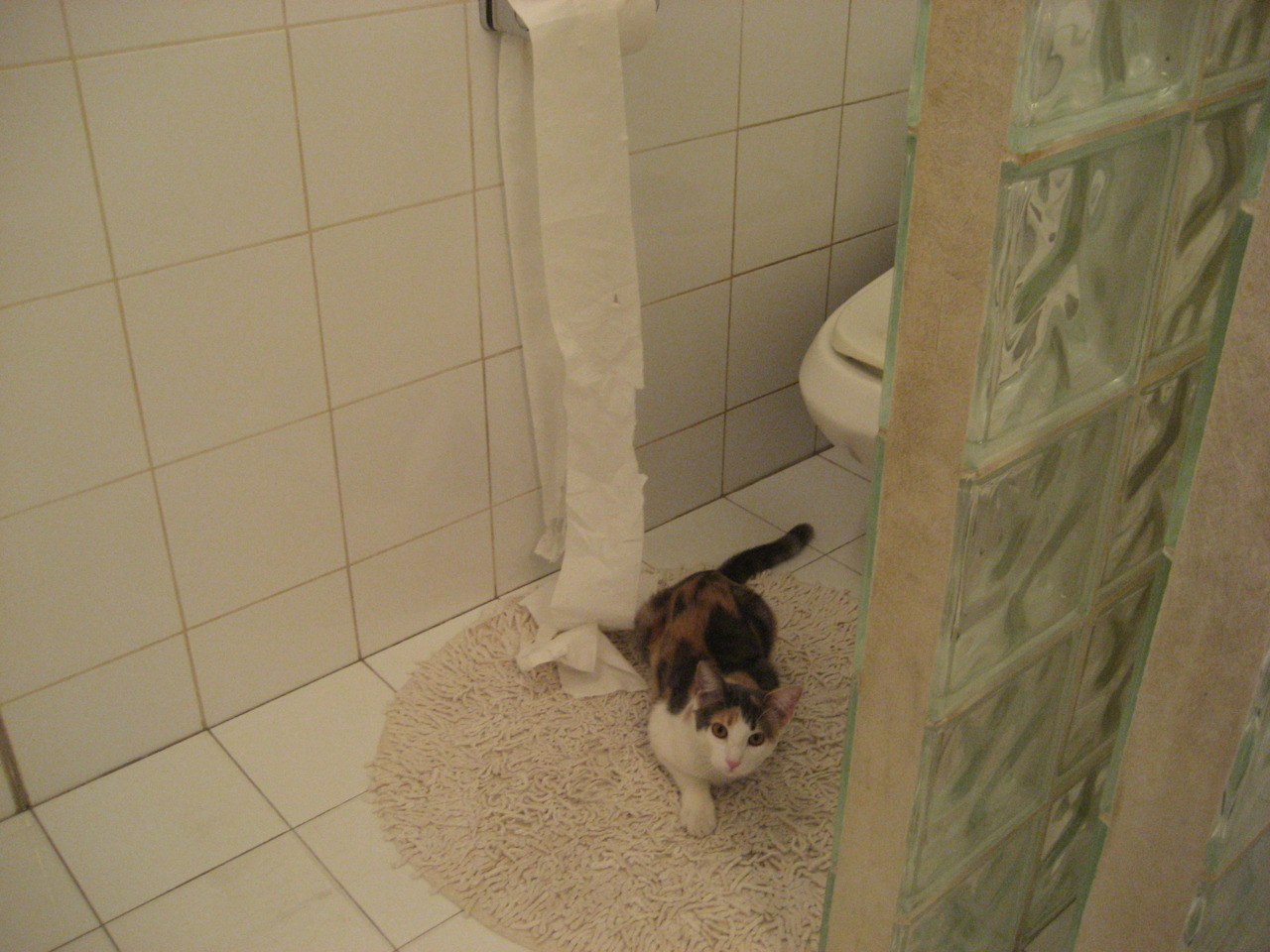 体育新闻中心联合知名平台发布体育创作人扶持计划，体育产业新闻