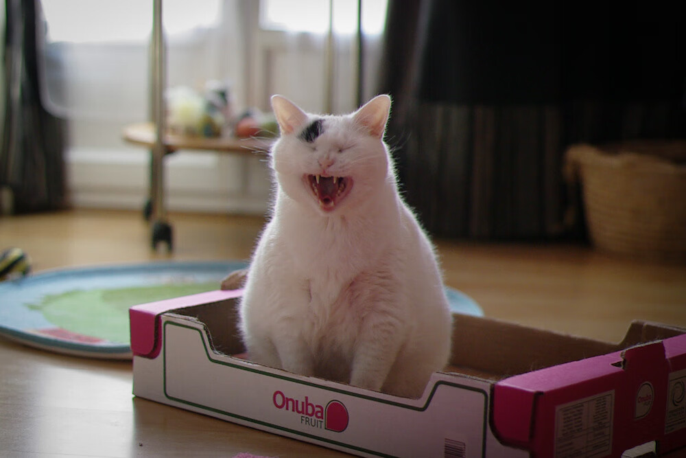 配速调整对蝶泳成绩的影响，配速调整对蝶泳成绩的影响有哪些