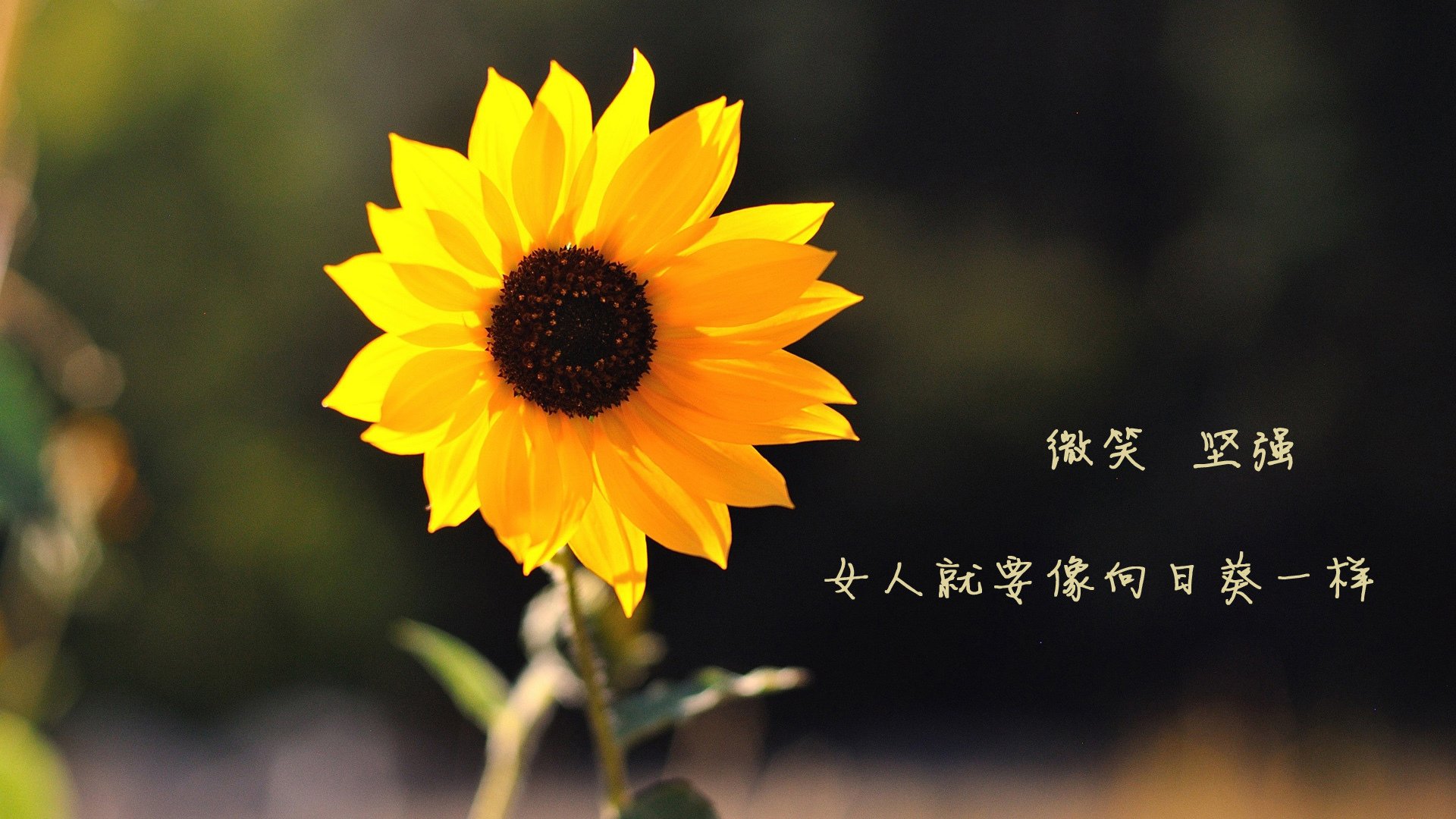 九游-CBA新秀表现亮眼成为球队重要拼图，cba新秀首秀