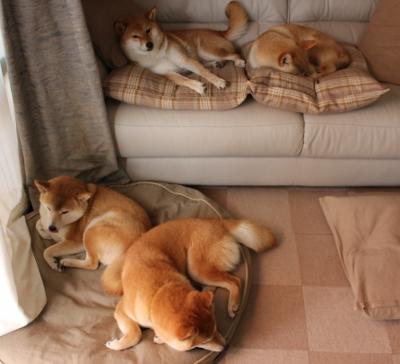 湖人才华少年新秀首秀登场,湖人2020年选哪位新秀