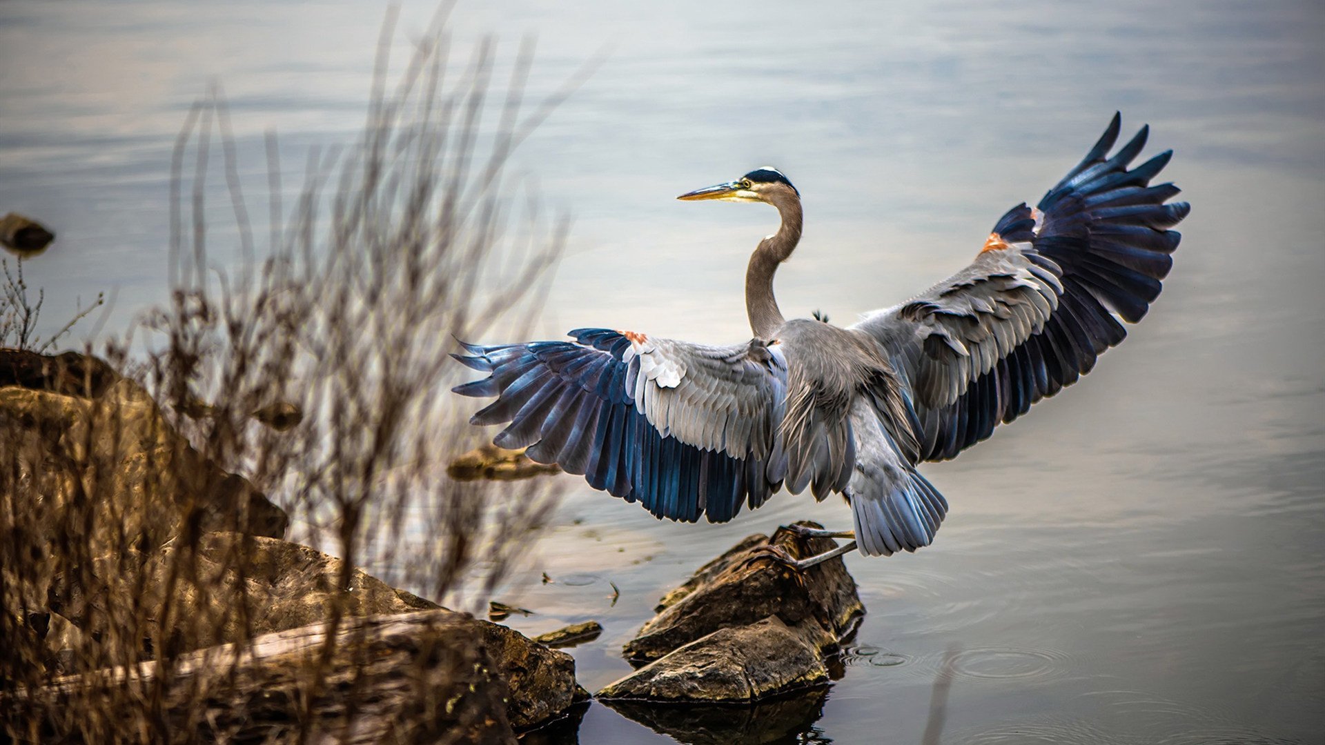 英超转会市场价格变动趋势,英超转会市场关闭时间