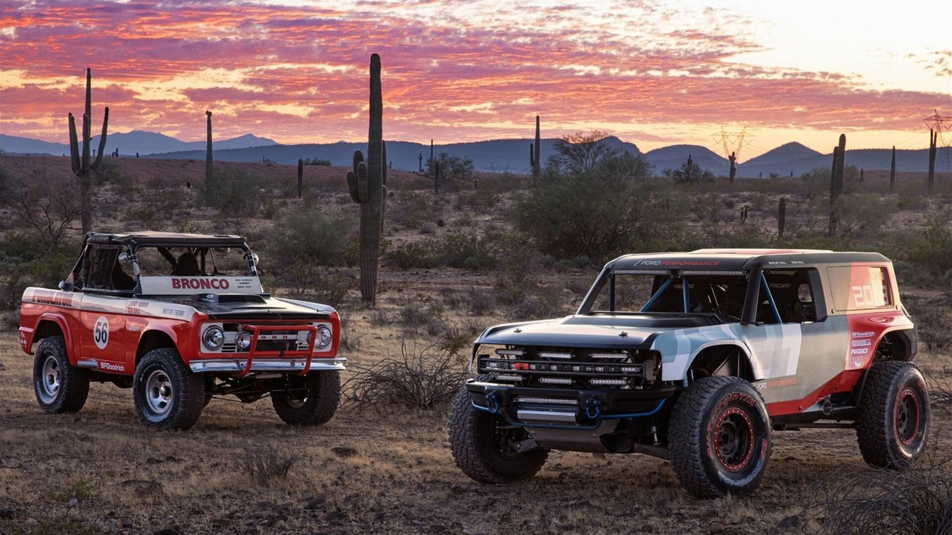 荷兰男子水球队战术变化多端，荷兰男子篮球队