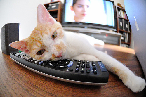 九游娱乐官网 (JIUYOU)-跳水细节精准韩国得分稳定，韩国跳水成绩