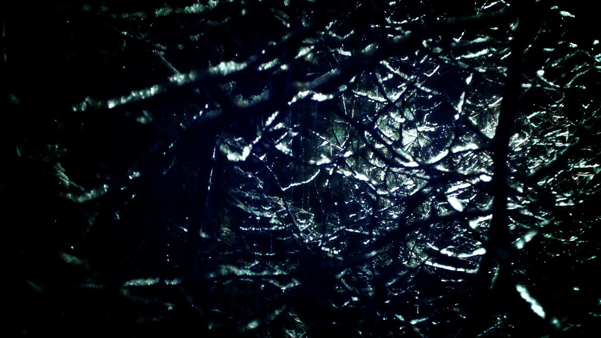 雷霆后卫通过临场指挥获得教练高度评价，雷霆队后卫