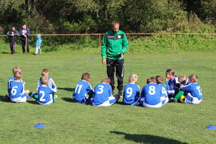 九游官网-中国篮球教练员在比赛中决策行为研究，篮球教练员行为准则